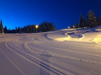Klubbrenn tirsdag 13. mars, skicross. Sesongavslutning med premiering etter rennet.